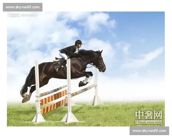 骑马竞技赛事:探索速度与技巧的完美融合,激烈竞争与传统文化的碰撞